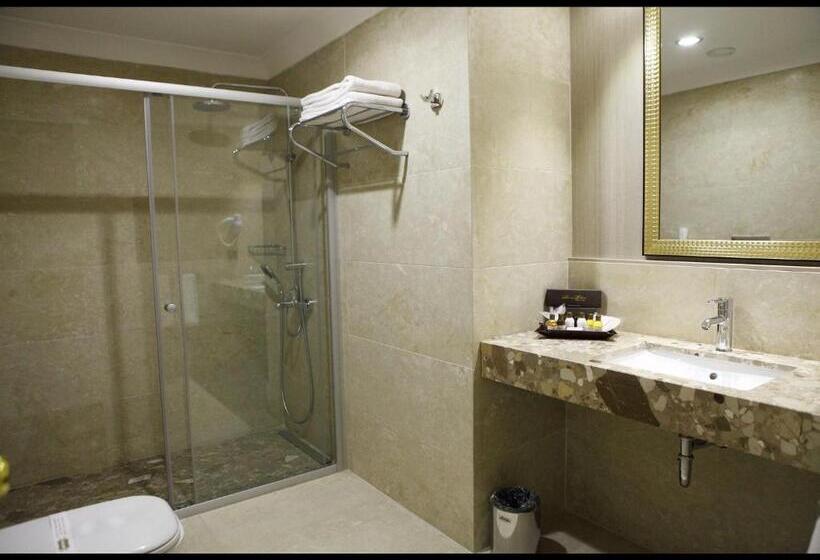 スタンダードシングルルーム, Sivas Revag Otel