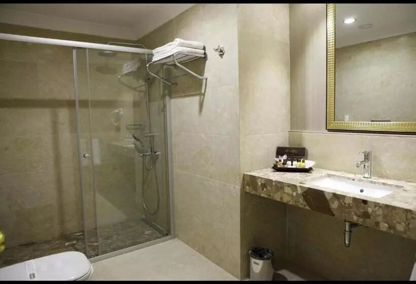 اتاق استاندارد یک نفره, Sivas Revag Otel