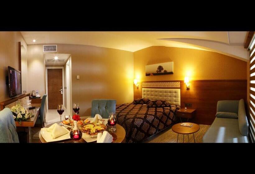 اتاق استاندارد یک نفره, Sivas Revag Otel