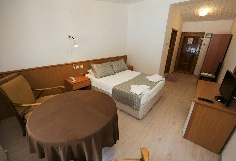 اتاق استاندارد یک نفره, Otel Diyojen