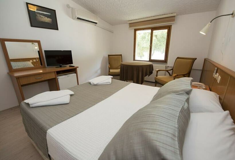 اتاق استاندارد یک نفره, Otel Diyojen