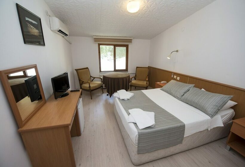 اتاق استاندارد یک نفره, Otel Diyojen
