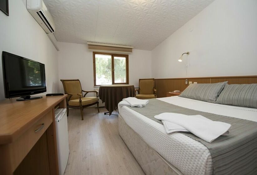 اتاق استاندارد یک نفره, Otel Diyojen