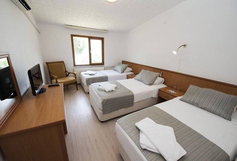 اتاق استاندارد سه نفره, Otel Diyojen