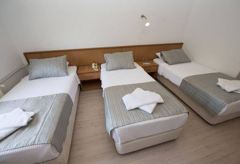 اتاق استاندارد سه نفره, Otel Diyojen