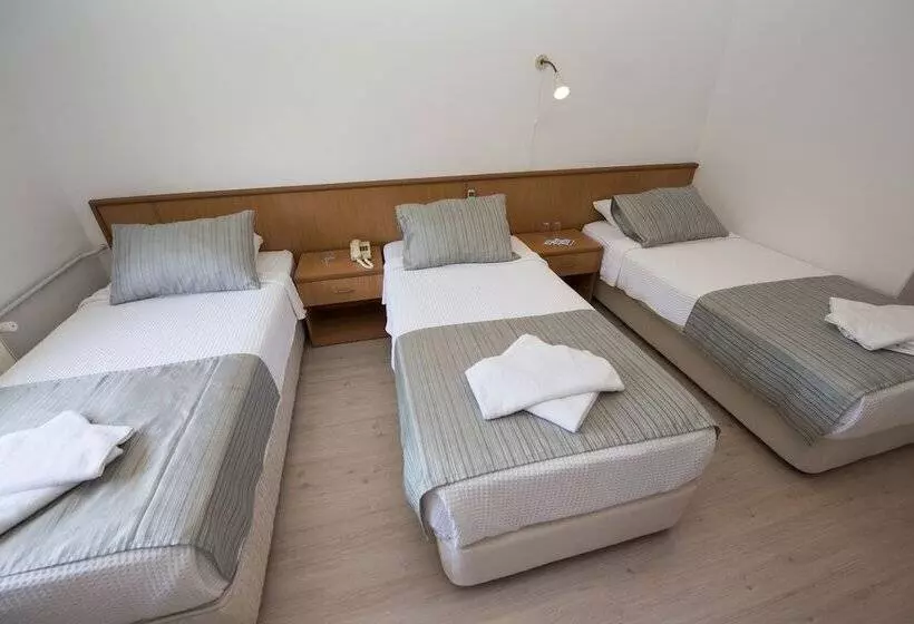 スタンダードトリプルルーム, Otel Diyojen