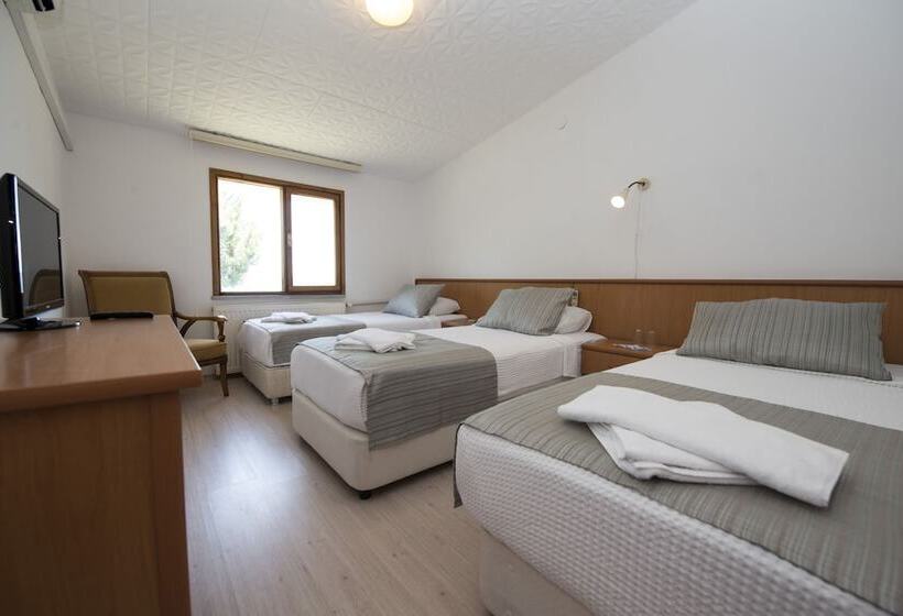 اتاق استاندارد سه نفره, Otel Diyojen