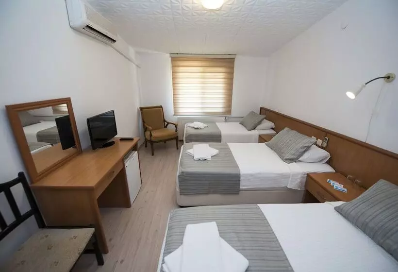 スタンダードトリプルルーム, Otel Diyojen