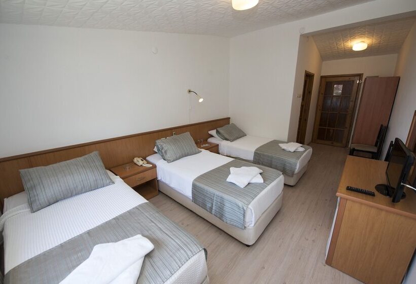 اتاق استاندارد سه نفره, Otel Diyojen