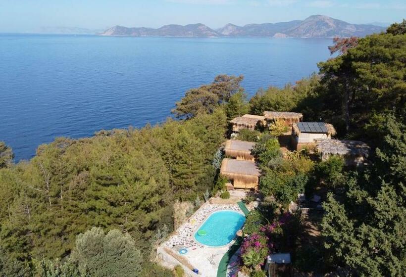 חדר דלוקס נוף לים, Honey Hill Faralya Forest Cabins By The Sea