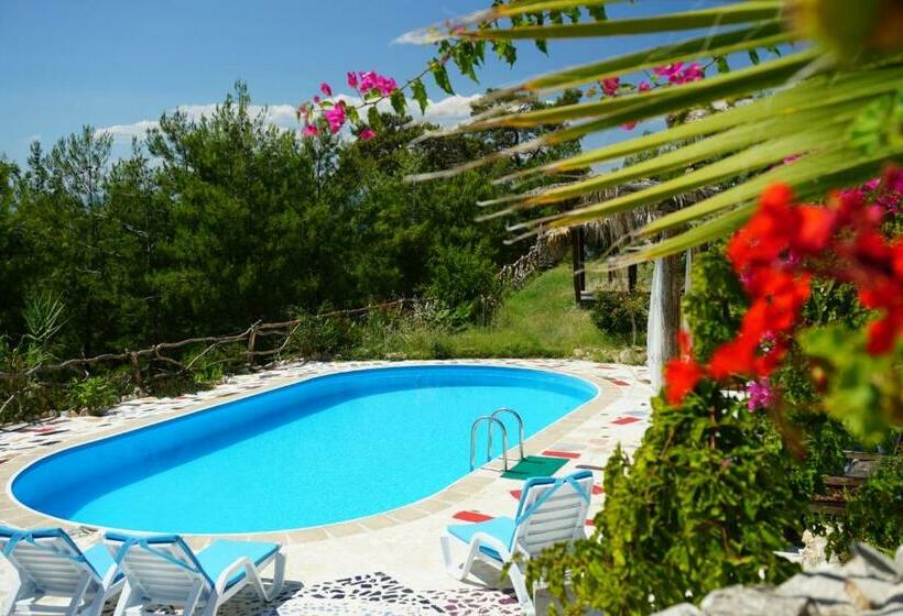 Номер Deluxe Вид на Море, Honey Hill Faralya Forest Cabins By The Sea