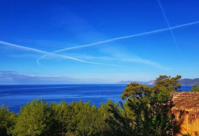 Номер Deluxe Вид на Море, Honey Hill Faralya Forest Cabins By The Sea