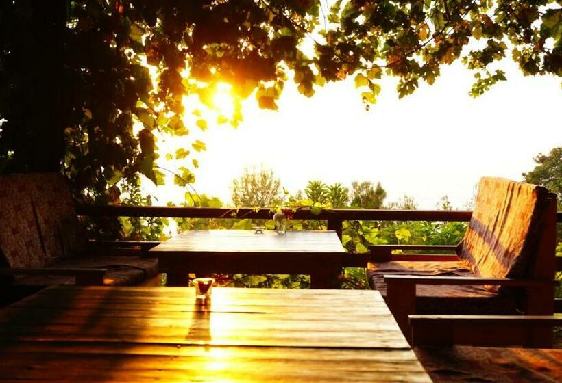 חדר דלוקס נוף לים, Honey Hill Faralya Forest Cabins By The Sea