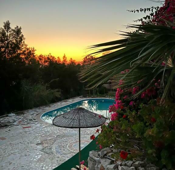 חדר דלוקס נוף לים, Honey Hill Faralya Forest Cabins By The Sea