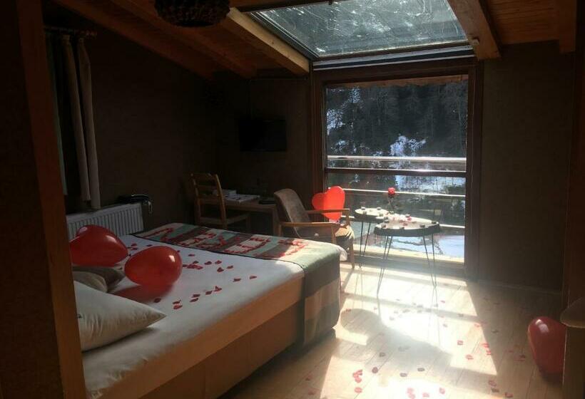 غرفة قياسية مطلة على الجبل, Ayderoom