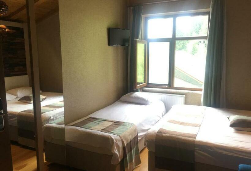اتاق استاندارد سه نفره, Ayderoom