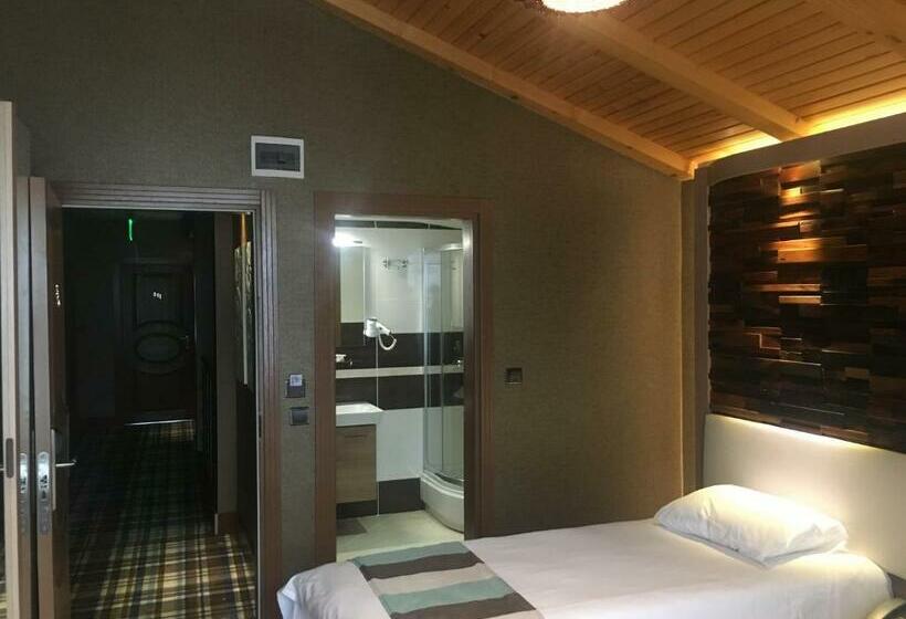 غرفة قياسية ثلاثية, Ayderoom