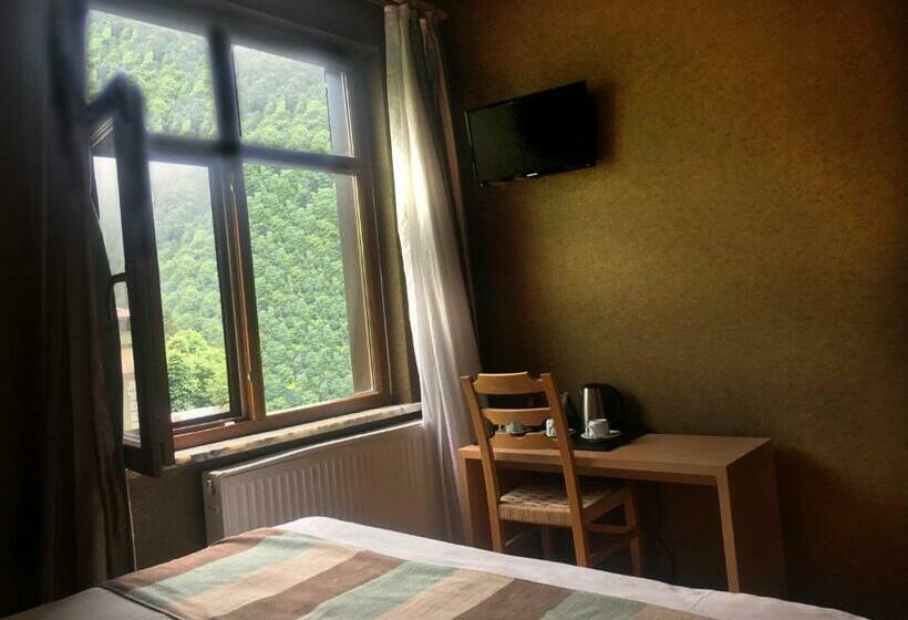 غرفة قياسية ثلاثية, Ayderoom