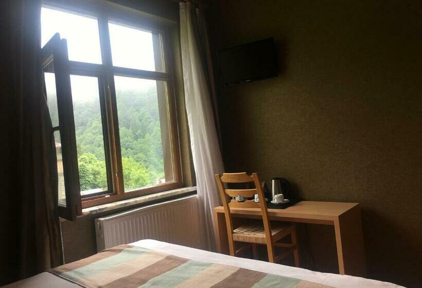 غرفة قياسية ثلاثية, Ayderoom