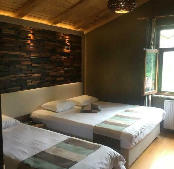 غرفة قياسية ثلاثية, Ayderoom