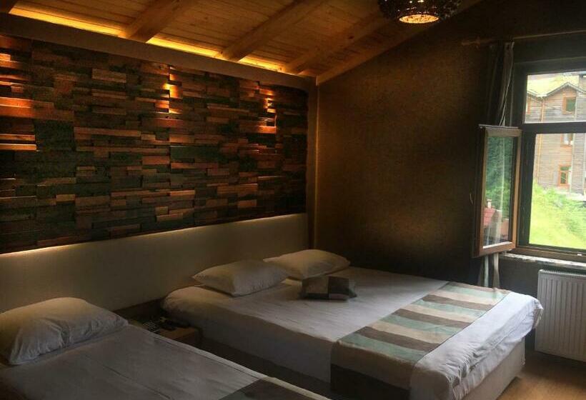 اتاق استاندارد سه نفره, Ayderoom