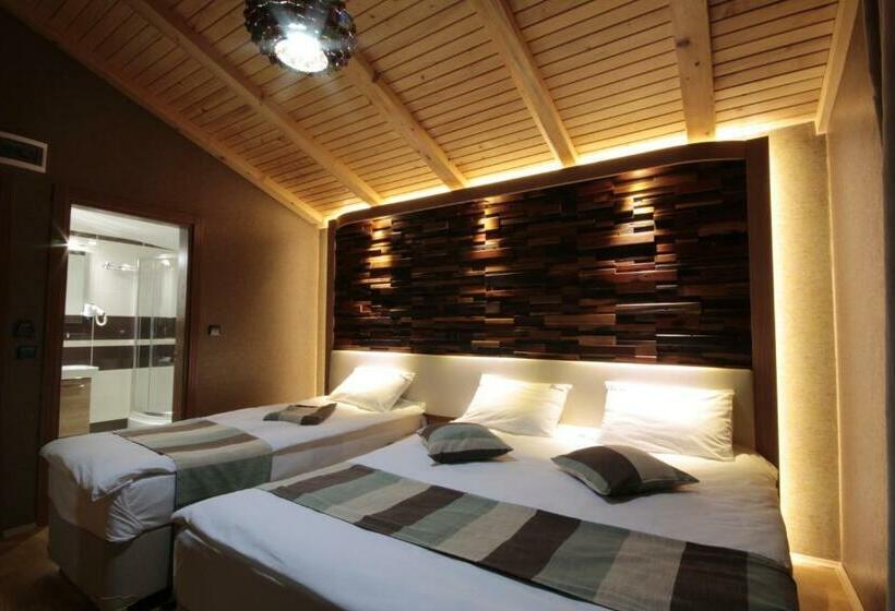اتاق استاندارد سه نفره, Ayderoom