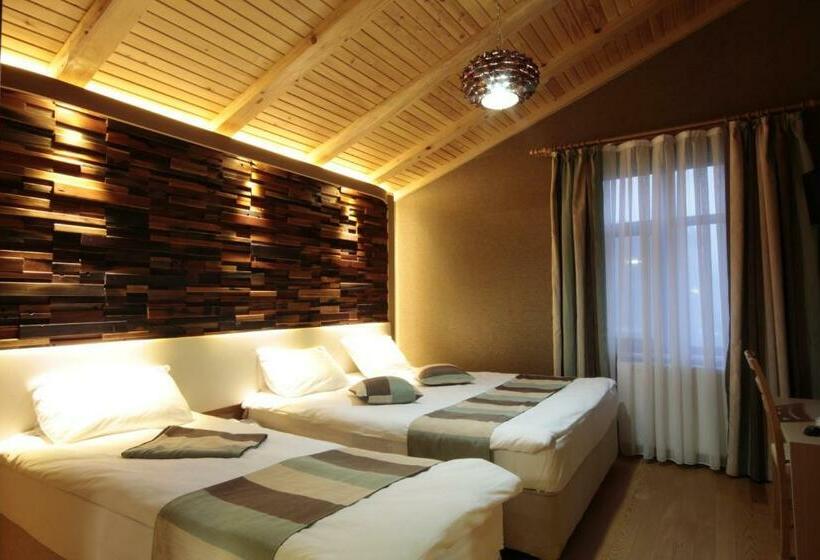 غرفة قياسية ثلاثية, Ayderoom