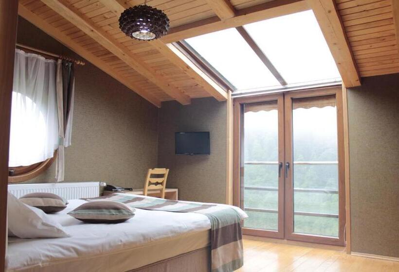 غرفة قياسية مطلة على الجبل, Ayderoom