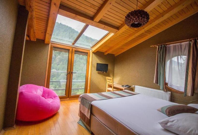 غرفة قياسية مطلة على الجبل, Ayderoom