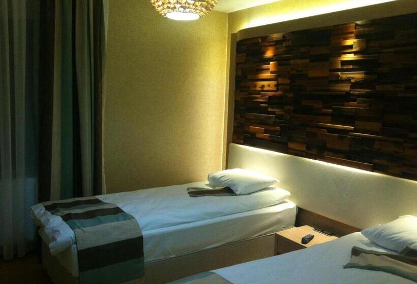 اتاق استاندارد, Ayderoom