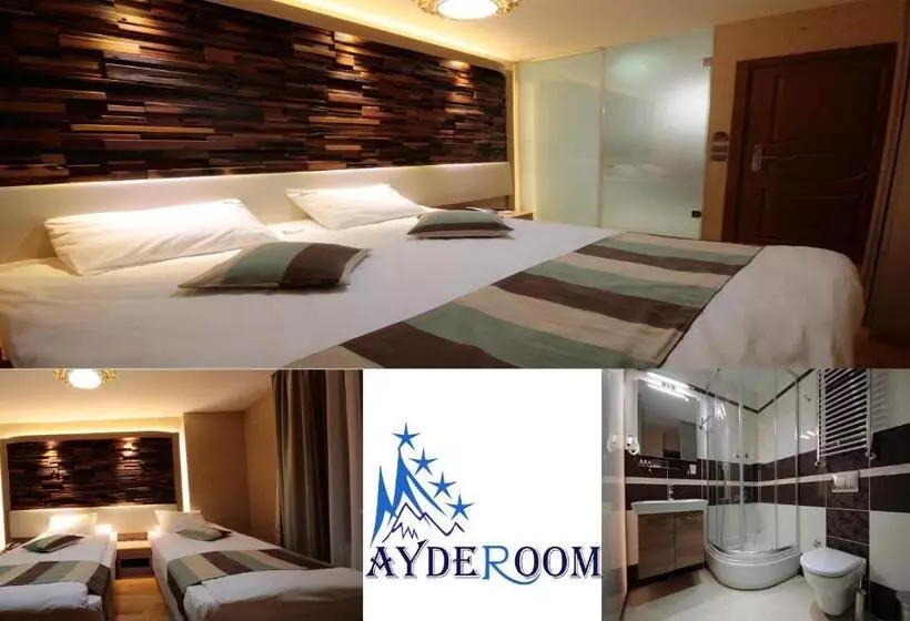 Camera Standard, Ayderoom