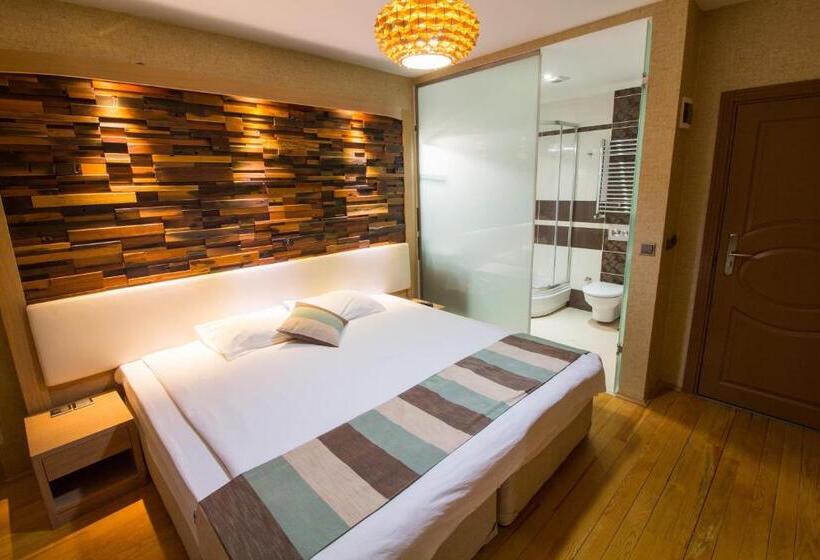 غرفة قياسية, Ayderoom