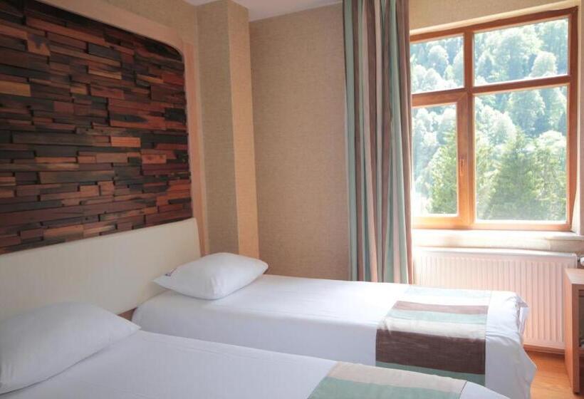 Deluxe Room Mountain View, Ayderoom