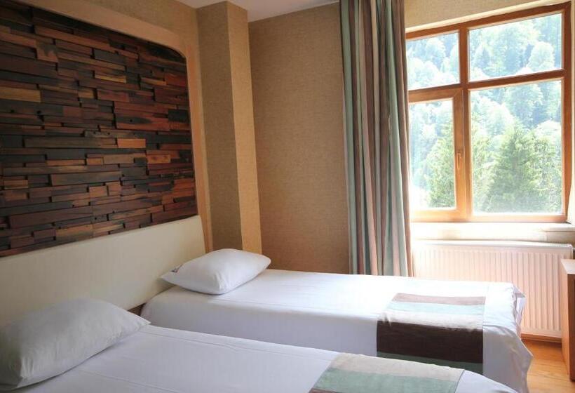 غرفة ديلوكس مطلة على الجبل, Ayderoom