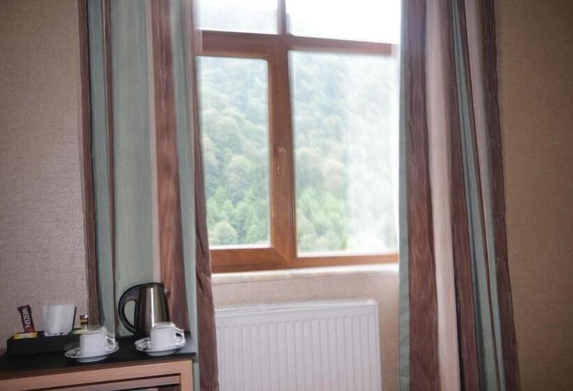 Deluxe Room Mountain View, Ayderoom