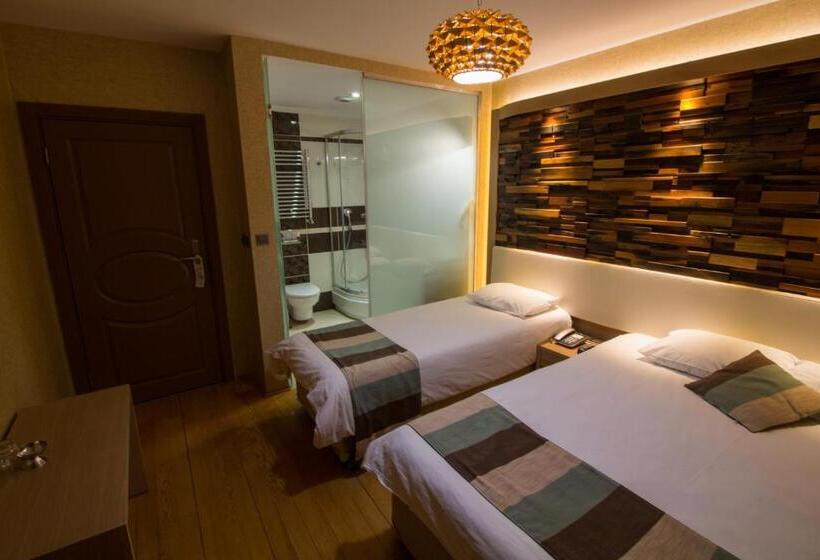 غرفة ديلوكس ثلاثية, Ayderoom