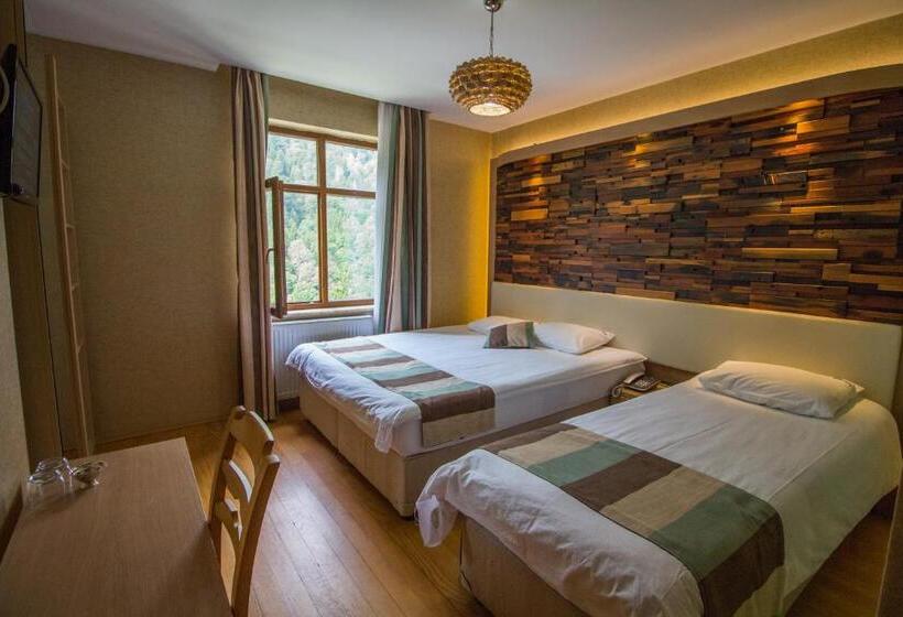 غرفة ديلوكس ثلاثية, Ayderoom