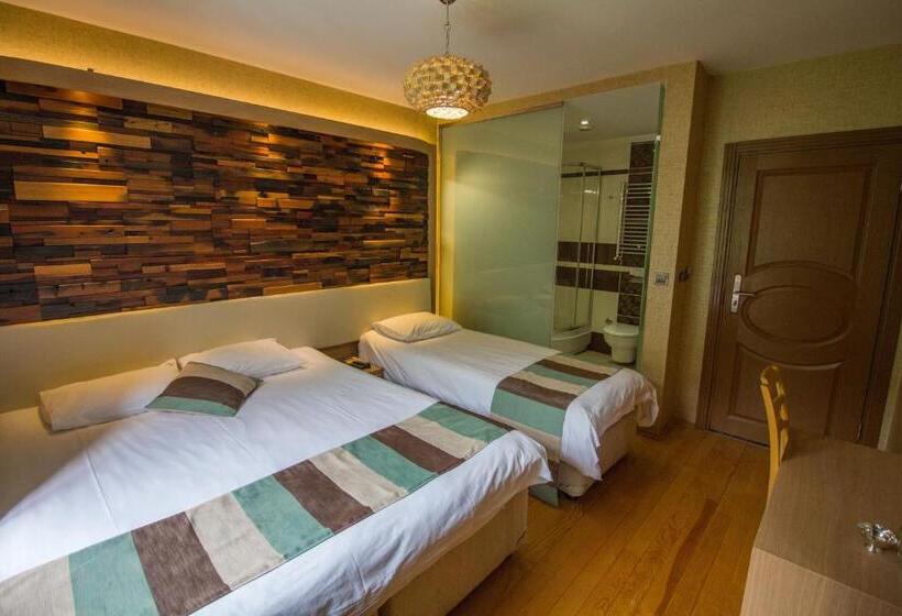 غرفة ديلوكس ثلاثية, Ayderoom