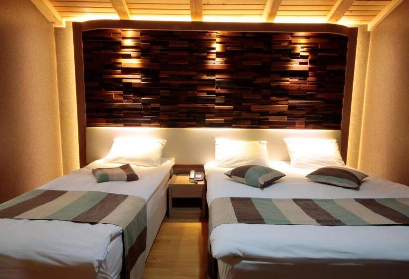 غرفة ديلوكس ثلاثية, Ayderoom