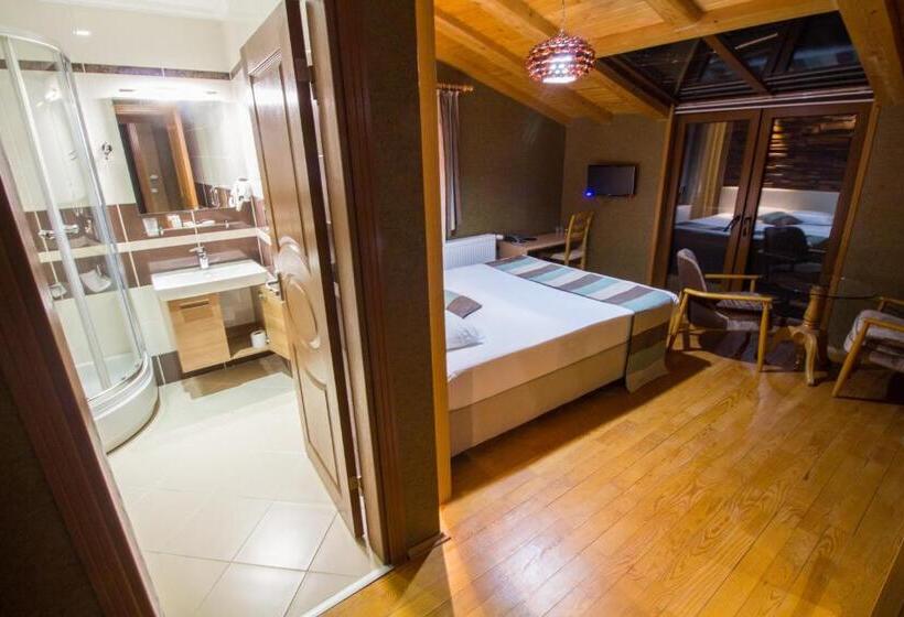 غرفة قياسية مطلة على الجبل, Ayderoom