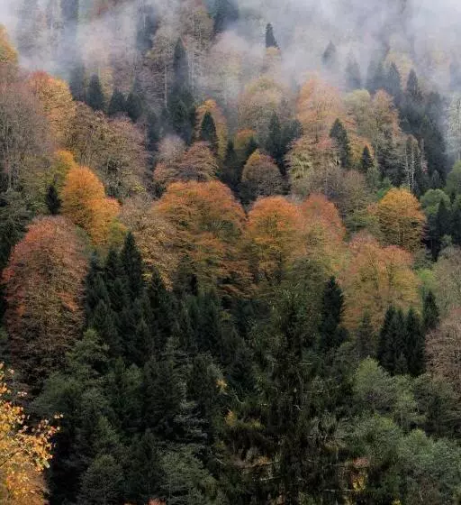 Camera Standard Vista Montagna, Ayderoom
