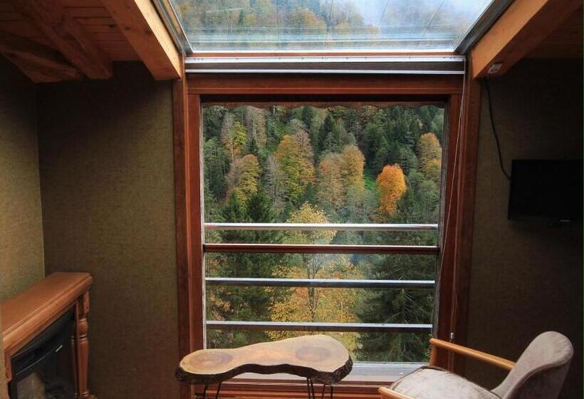 غرفة قياسية مطلة على الجبل, Ayderoom