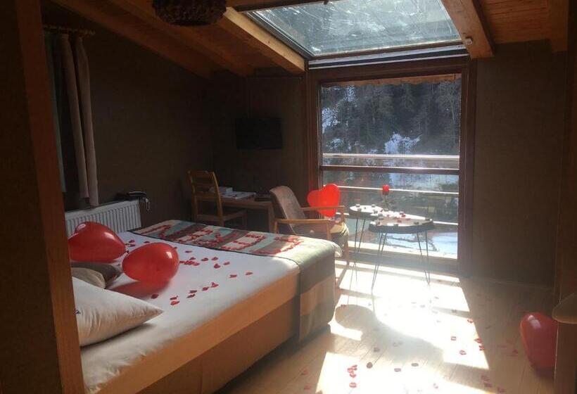 غرفة قياسية مطلة على الجبل, Ayderoom