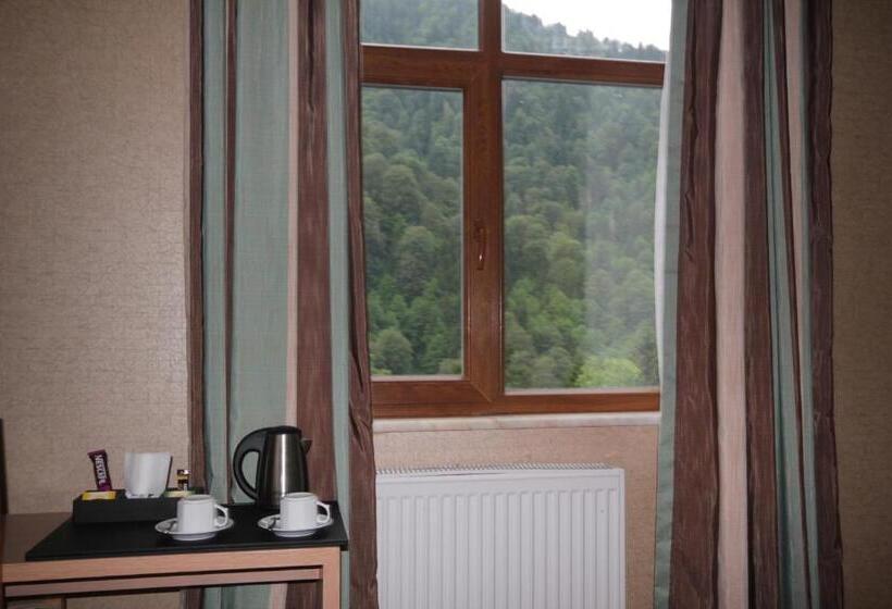 غرفة ديلوكس مطلة على الجبل, Ayderoom