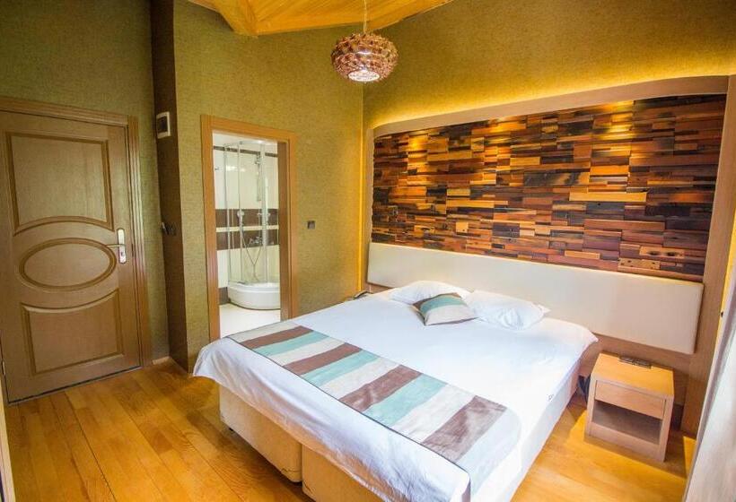 Deluxe Room Mountain View, Ayderoom