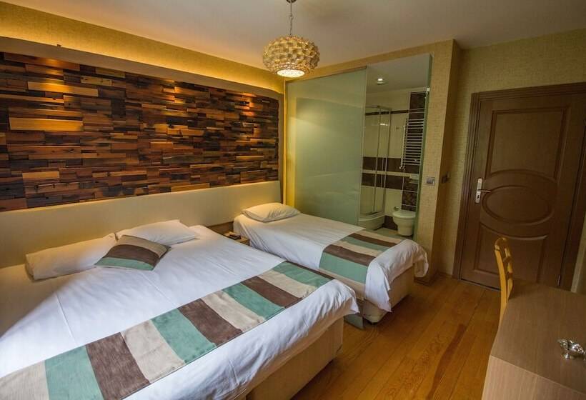 غرفة ديلوكس ثلاثية, Ayderoom