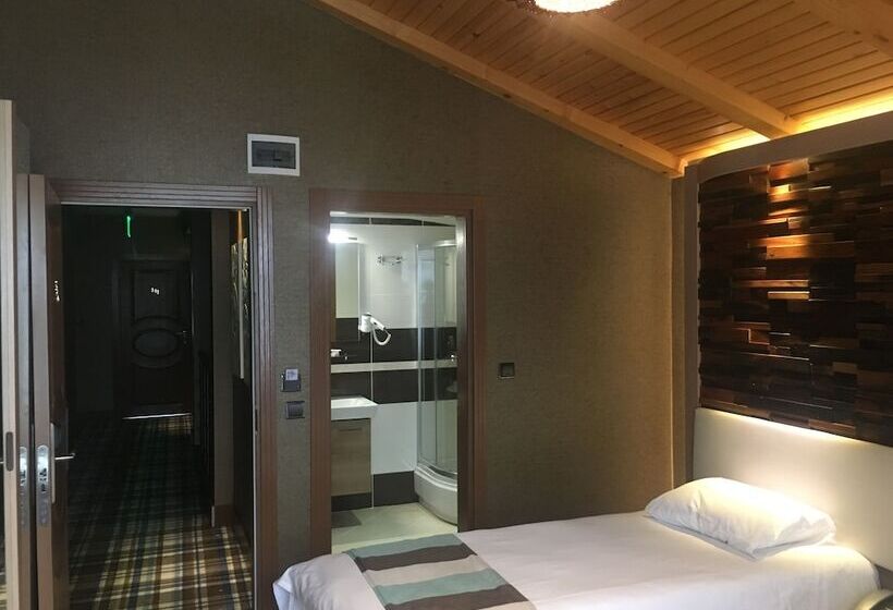 غرفة قياسية ثلاثية, Ayderoom