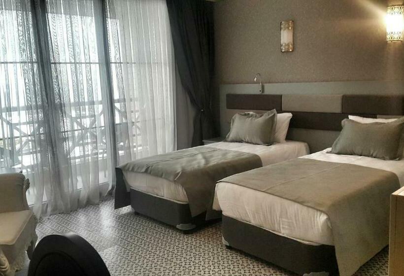 اتاق استاندارد با چشم‌انداز شهر, Babillon Hotel Spa & Restaurant