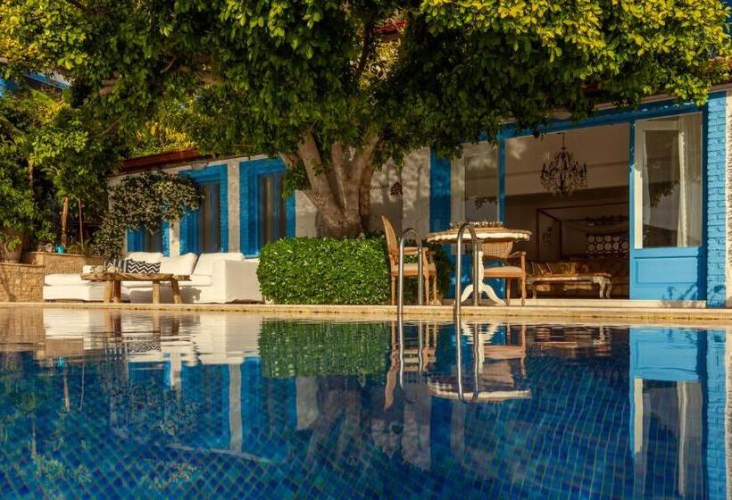 غرفة قياسية مطلّة علي البحر مزوَّدة بشُرفة, Sabrinas Haus   Adults Only