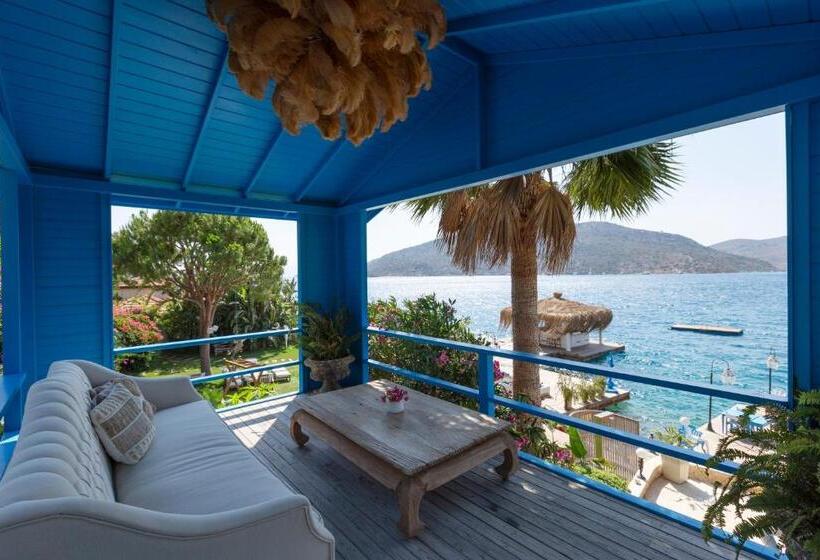 غرفة قياسية, Sabrinas Haus   Adults Only